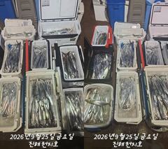 [진해] 내만갈치 씨알급 찾아 출발합니다~~~예약가능 사진