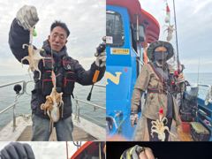 <크라운호> 쭈꾸미 종일 실시간 조황(25일)-금일 오후배 쭈꾸미 자리있습니다. 사진