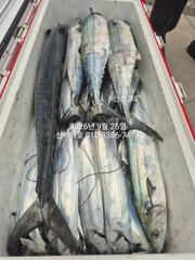 통영갈치 먼바다 9월25일 철수 신세계호 조황정보 사진