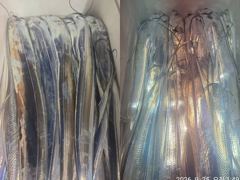 [통영] [[ 통영항진피싱 ]] 2지반푼 갈치와 3~4지급으로 쿨러 넉넉… 사진