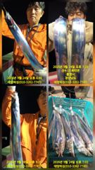 대양호 선상낚시 조황 사진