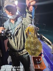 주간은 대삼치와전쟁~야간은 무늬오징어 먹물파티~예약중입니다 사진