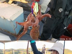 [진해] "" 돌문어 "" 내일나갑니다.(내일예약가능) 사진
