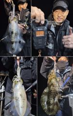 [진해] 팁런무늬!!!좋습니다!!27일(일)부터 예약가능!! 사진