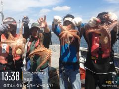 [진해] 돌문어 1.6K외 키로급들 좋네요~(토,예약가능) 사진