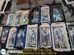 내만칼치ㅡ피딩,피딩! 쿨러넘쳐 씨알.마릿수 초대박입니다(1자리/예약가능) 사진