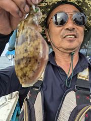 [격포] 09/25 격포 남부스타호 쭈꾸미 갑오징어 조황입니다~!!! 사진