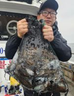 [격포 블루마린호] 9/25 100갑 사진
