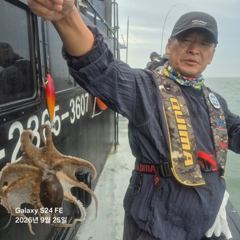 2026년9월25일블랙호조황사진입니다 사진