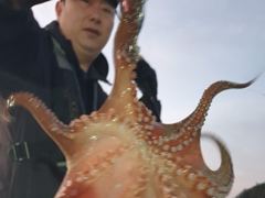 [진해] 돌문어 1400g1380g외 중치급 많이잡고.. ( 일요일 예… 사진