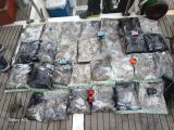 쭈갑조황 글만 보기 사진