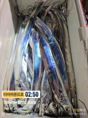 5지급쌍걸이! 초대박팡팡! 내일 마감임박! 전화주세요~ 사진