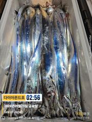 [진해] 준내만 5지까지 대박터집니다! 내일긴급4자리! 전화주세요~ 사진