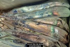 [진해] 먼바다갈치외줄 16석 씨알좋아요 굿~토요일 일요일 월요일 자리여… 사진