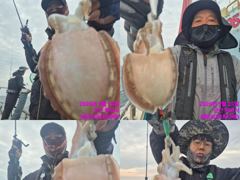 <썬스타호> 쭈꾸미 오후 마무리 조황(25일)-내일 쭈꾸미 종일 자리있습니다 사진