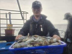 16인 갑오징어 조황입니다 사진