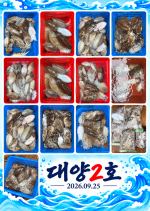 오이도 대양2호 조황사진(26.09.25) 사진