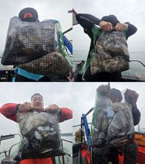 쭈꾸미 갑오징어대박!! 갑오징어만 90수 오바 ~~~~~~ 사진