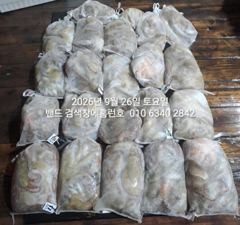 25일 홈런호 야간문어 마무리 조황 입니다 별로인 날씨인데도 불구하고 열심히 해주셔서 감사합니다 사진