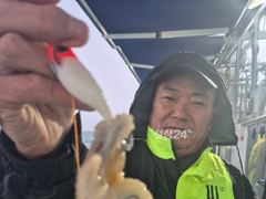 26일, 수중전 군산주꾸미~갑이랑 잘나오네요~갑이 씨알 좋아요~실시간~군산낚시프라자 나드리호 사진