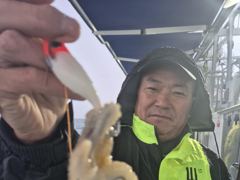 26일, 수중전 군산주꾸미~갑이랑 잘나오네요~갑이 씨알 좋아요~실시간~군산낚시프라자 나드리호 사진