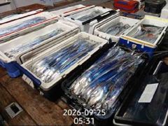 [진해] 16석.먼바다왕갈치.외줄~오늘 자리여유/토일월화 예약가능 사진