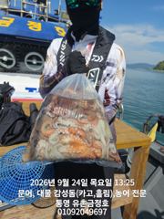 통영 금정호 내일 문어선상 정상출항합니다 자리여유있습니다 사진