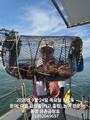 통영 금정호 내일 문어선상 정상출항합니다 자리여유있습니다 사진
