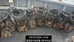 [통영] (문어)주야간 ALL 대박~K오버~덩치들 주렁주렁 현서피싱(27… 사진