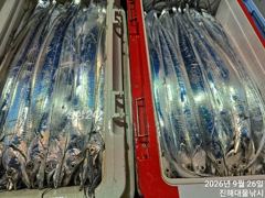 우와~26일새벽,내만칼치 씨알급들 퍼담고 미친듯이물어 초대박~일욜예약가능~ 사진