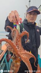 실시간 포항선상낚시 돌문어가 숭덩숭덩~잘 올라오고~ 사진