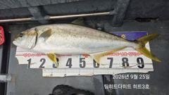 [거제] 선상흘림/긴꼬리벵에돔,참돔,슈퍼전갱이 3종셋트!! 사진