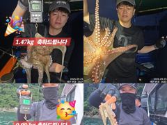 [진해] 25일 오늘도 계속올라와 퍼담듯 잡고온 Kg급및 굵직한 야간~돌… 사진
