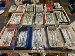 "준내만갈치" 3지4지!! 화끈한 손맛보며 쿨러 묵직하게 담았습니다!! [일요일예약가능] 010-7660-2435 사진