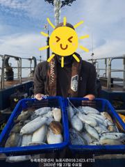 [여수,광양] [여수나라2호]-내일 내만갑오징어 출항합니다. 씨알도 좋아지고 … 사진
