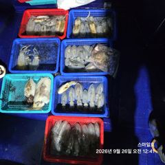 [거제] (내만 팁런)무늬 마릿수 폭팔~1.8K 갑이까지 스마일호(28일… 사진