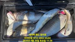 2026 09 26 대구라바 사진