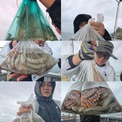 26일)문어 키로키로 마리수 조황 씨알좋습니다. 27일)잔여자리 있습니다. 사진
