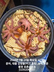 통영 금정호 내일 오전문어 자리여유있습니다 사진
