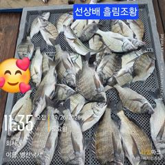 [고성] 병산 감성돔37외 마리수 농어 선상배 및 선외기 흘림조황~~