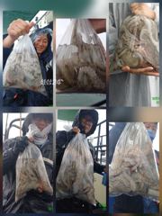 오늘 문어조황.내일 쭈자리여유.월요일 문어출조(자리 널널)쭉~예약중입니다 사진