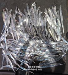 [진해] 26일,입항<내만갈치>BIG사이즈 손맛끝장!일,월,화~예약가능 사진