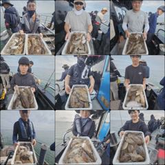먹물 글만 보기 사진