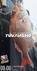 [부산 유강피싱] 유강호 부산권 부시리 파핑 지깅 조황입니다.