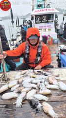 26일 여수헌터호 비바람속 갑진 갑오징어 조황올립니다 ~^^