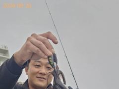 무늬 사이즈 마릿수 굿굿!! 사진