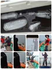 [포항] 실시간 27일주간반돌문어 쾅쾅 사진